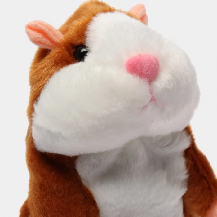 Hamster vorbitor interactiv-repetitor, cu set de melodii