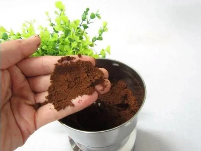 Râșniță de cafea BOMA BM-661; 300 ml